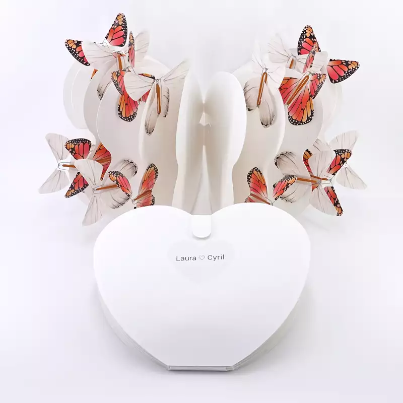 Papillons magiques pack avec livret coeur